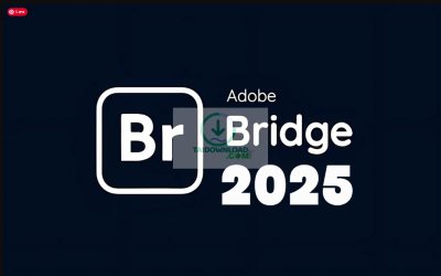 Bridge 2025 ✔️Hướng Dẫn Tải Bridge Full 100% Cách Cài Đặt Bridge 2025 Chi Tiết A-Z