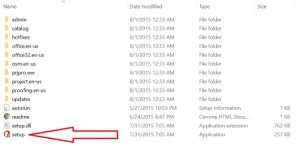 Microsoft Project Professional 2016