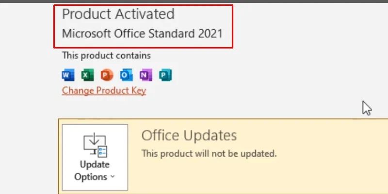 trình Hướng Dẫn Cách Cài Đặt Office Professional 2021 Từ A-Z