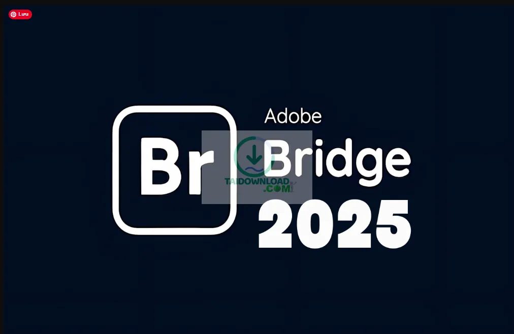 Bridge 2025