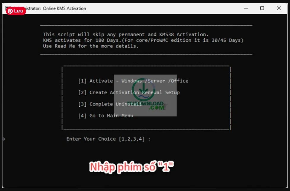 kích hoạt Project 2019